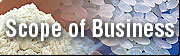 Scope of Business