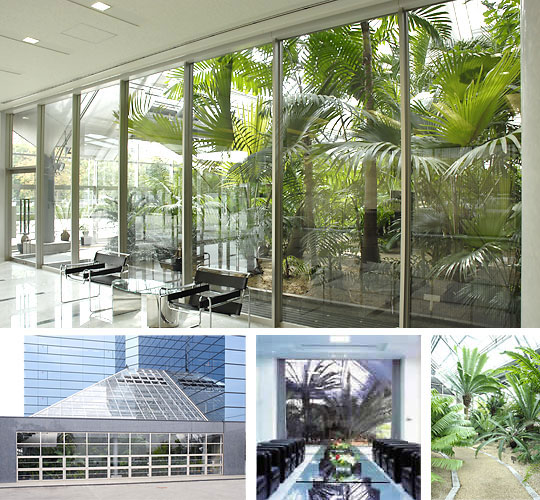 Palm Garden