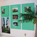 Palm Museums