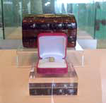Palm Treasures Collection