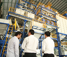 Rice Processing System & Full Plant System