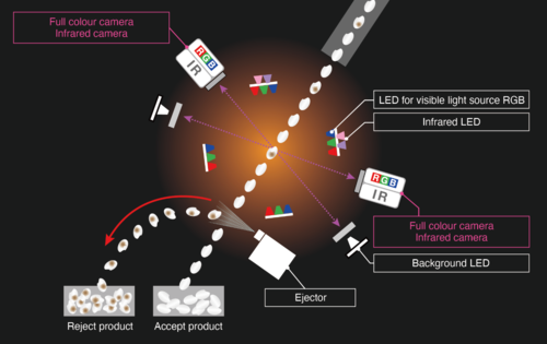 optical section image.png