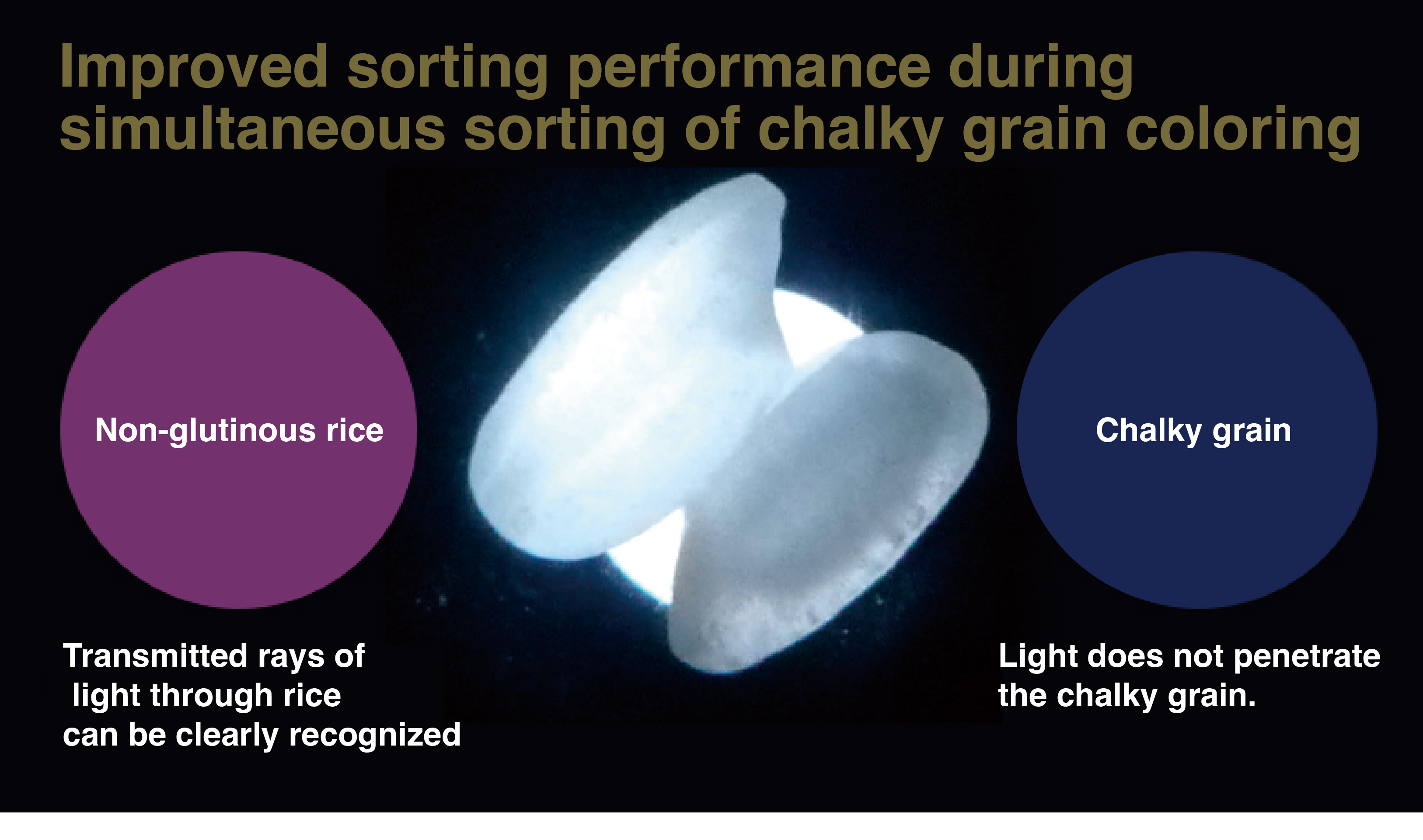 Improved performance of
chalky grain sorting
