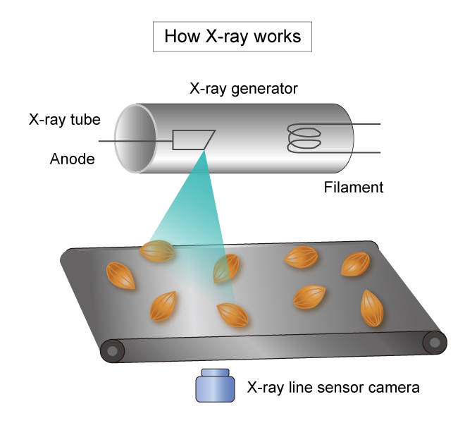 How X-ray works